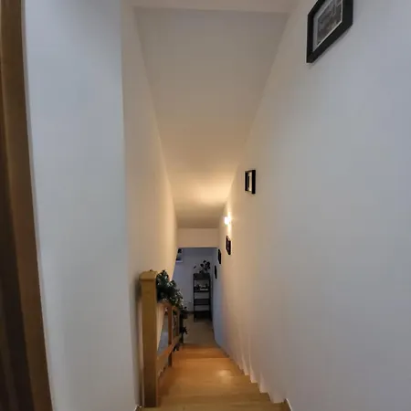 Kochanowskiego 12 Krakov Exteriér fotografie